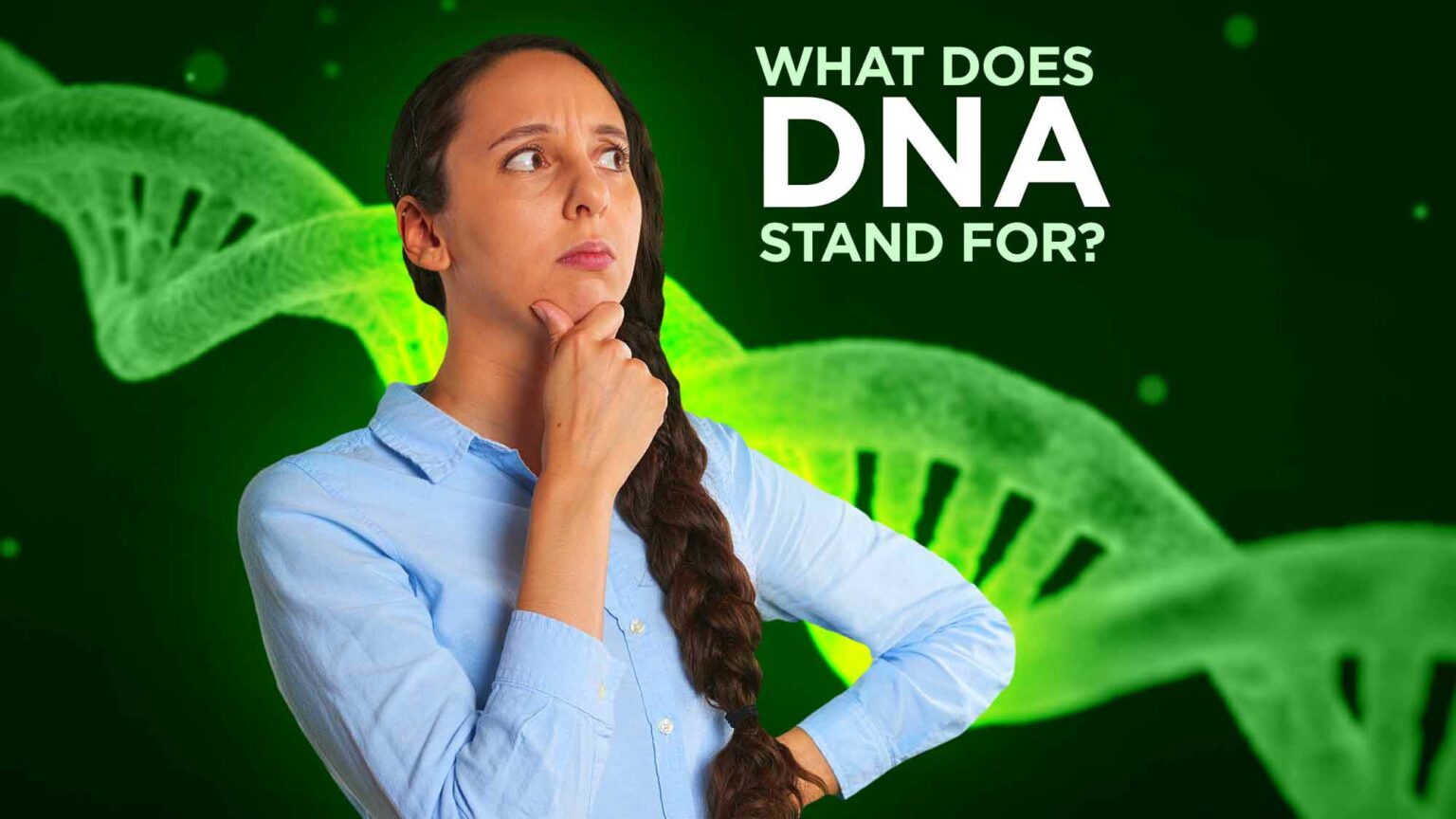 What Does DNA Stand For (Do You Know The Answer)?