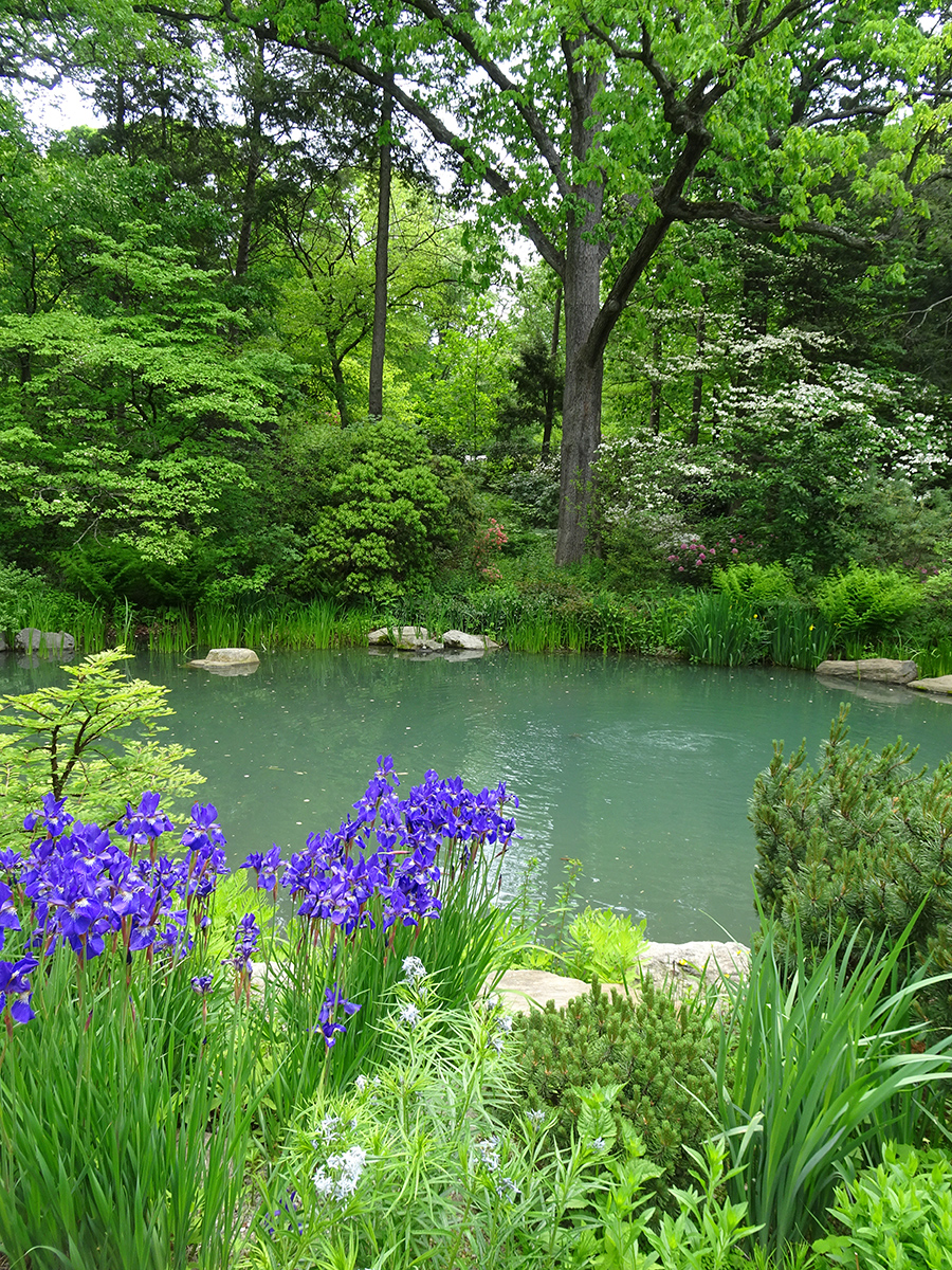 Rock Garden method two madness