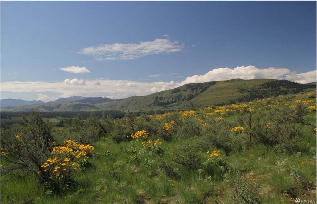 Just Sold! 44 Black Bird Rd Winthrop 199,000 Blue Sky Real Estate