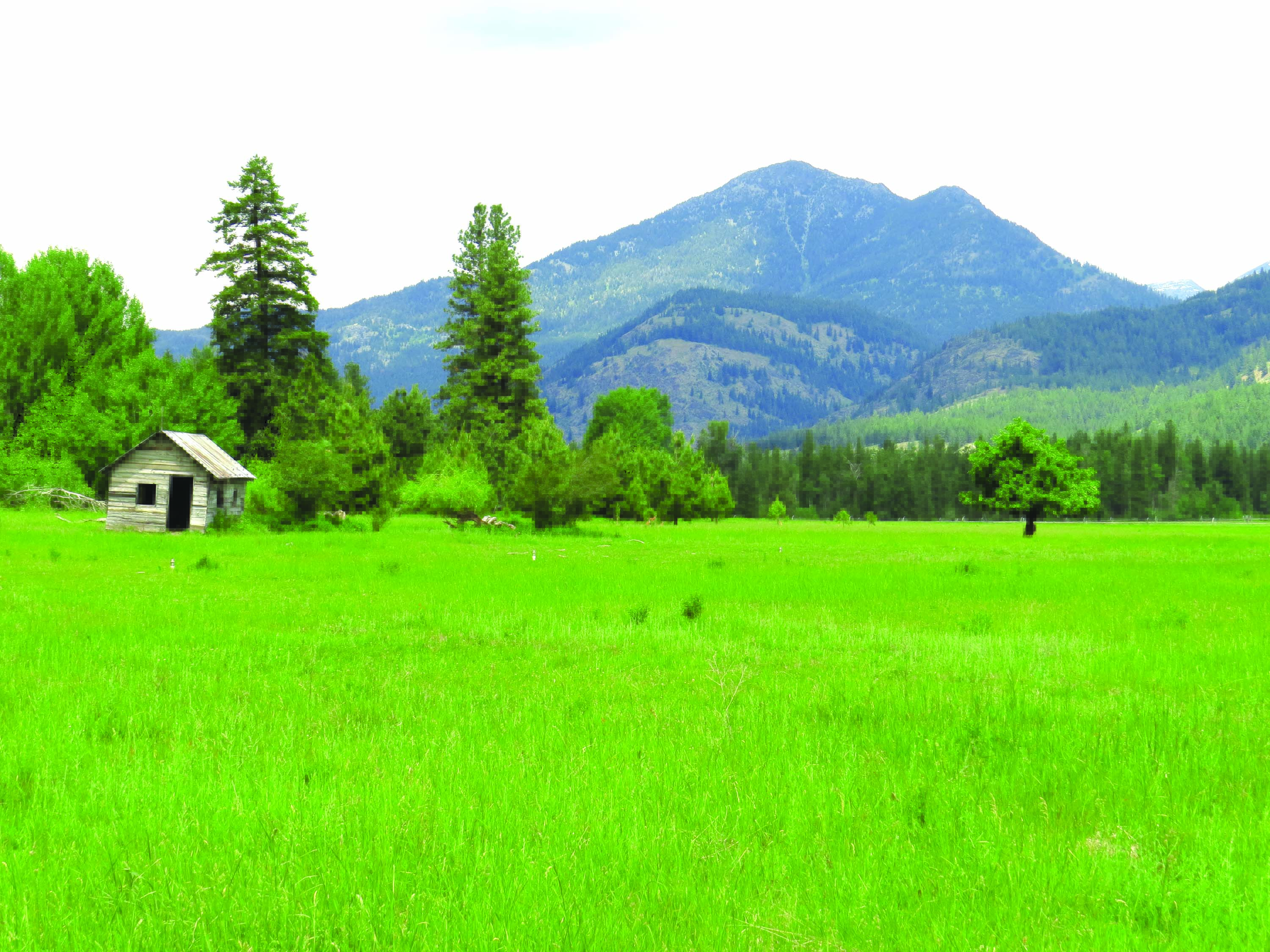 Methow Conservancy buys prime ag land near Mazama Methow Valley News