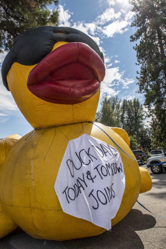 Duck Days 20222 Methow Valley News