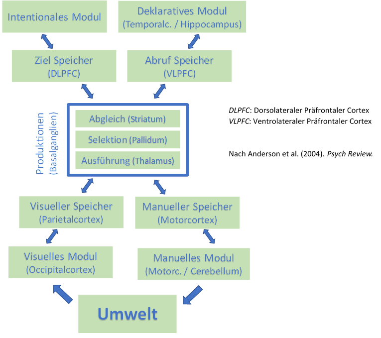 ACTR eLearning Methoden der Psychologie TU Dresden