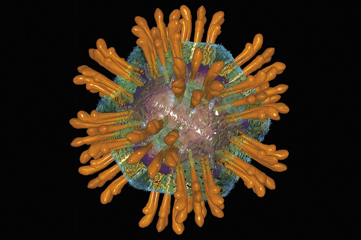 Los virus y el cáncer ¿se puede contagiar el cáncer? Revista Mètode