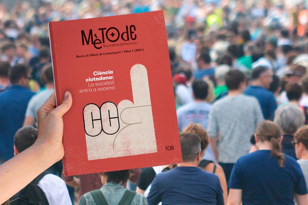 Why do humans have pubic hair?