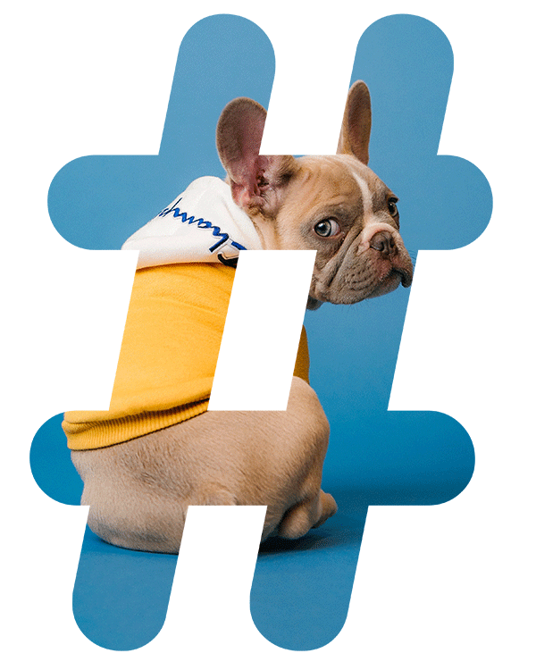 Trending Hashtags on Instagram 2024