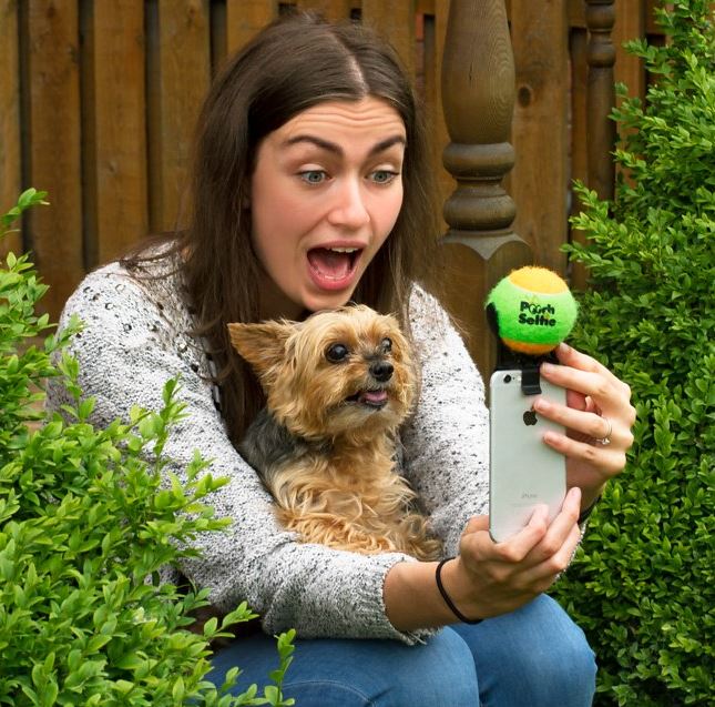 Pooch selfie helps you take perfect pic with your dog thanks to tennis