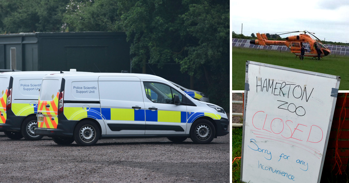 Hamerton Zoo Park evacuated after serious incident 'involving a tiger