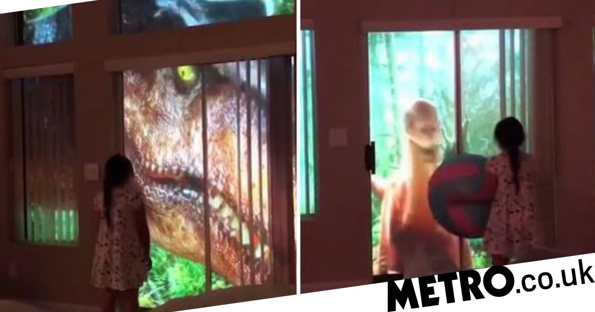Dad uses projector to make it look like dinosaurs are outside his