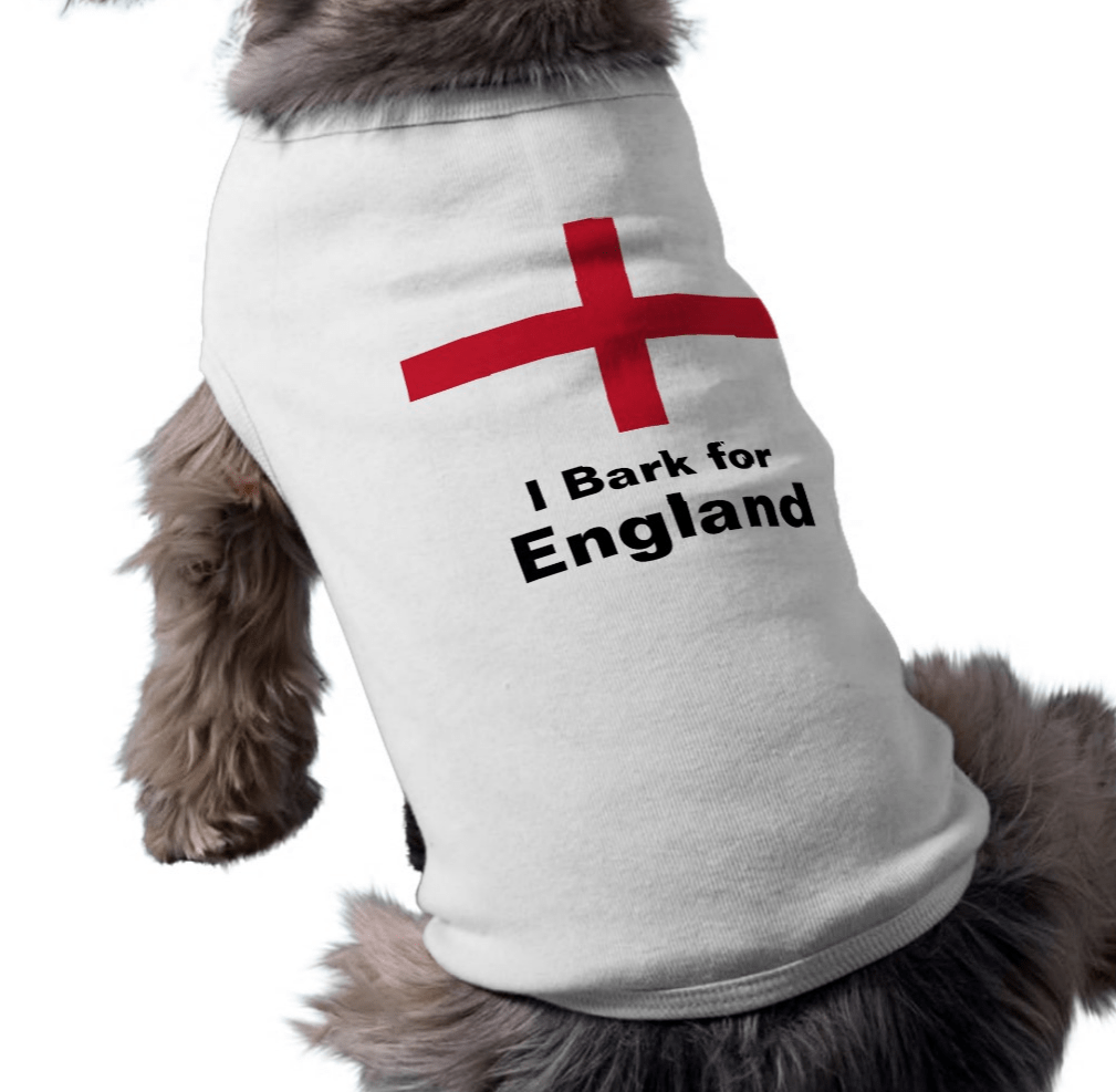 Where can I buy an Engand football shirt for my dog? Metro News