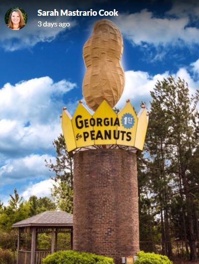 World's largest peanut is cracked by strong winds Metro News