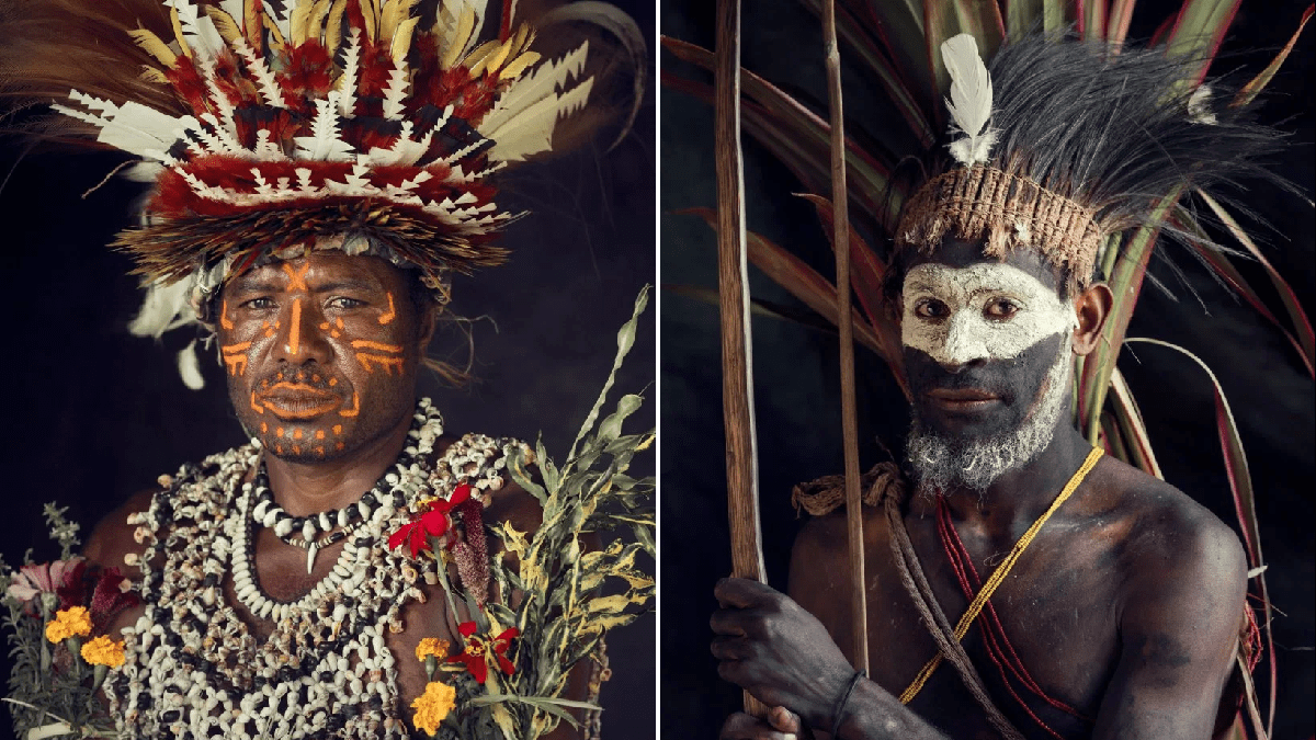 FREE [PDF] The Tribe A New World Book Full Download