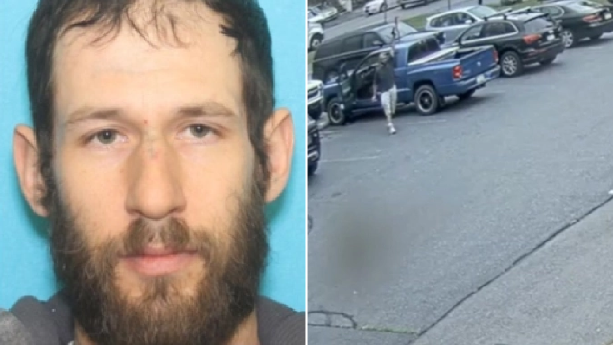 zone post image for post 13079030