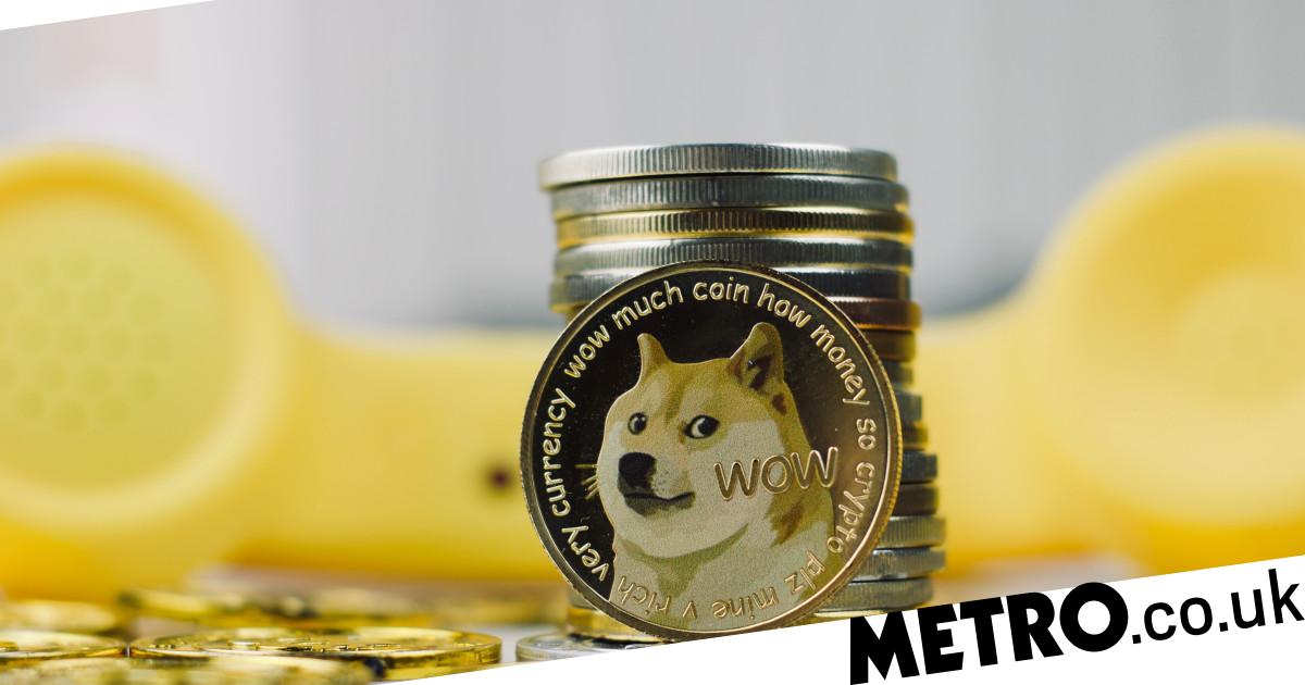 How Many Total Shares Does Dogecoin Have COGODI