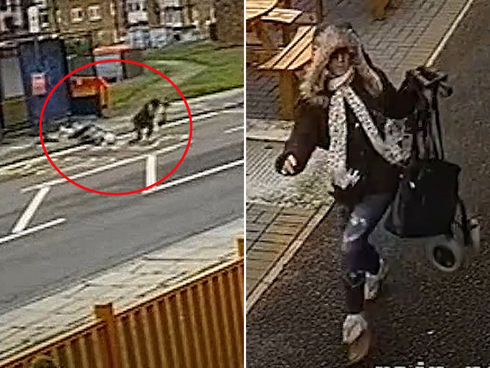 zone post image for post 13923837