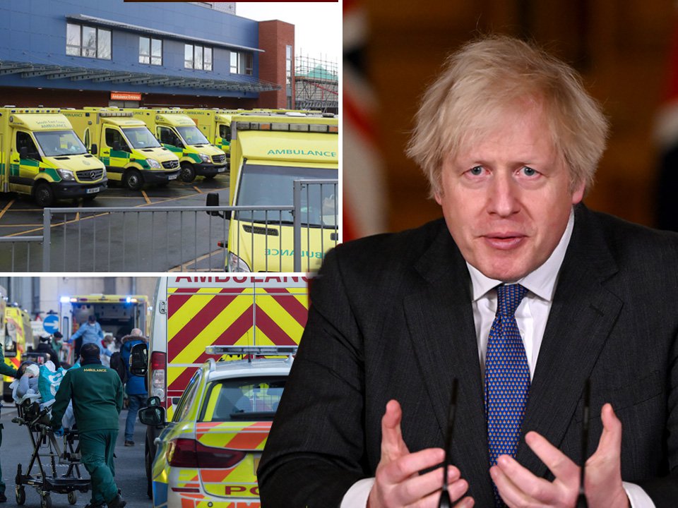 zone post image for post 13953287