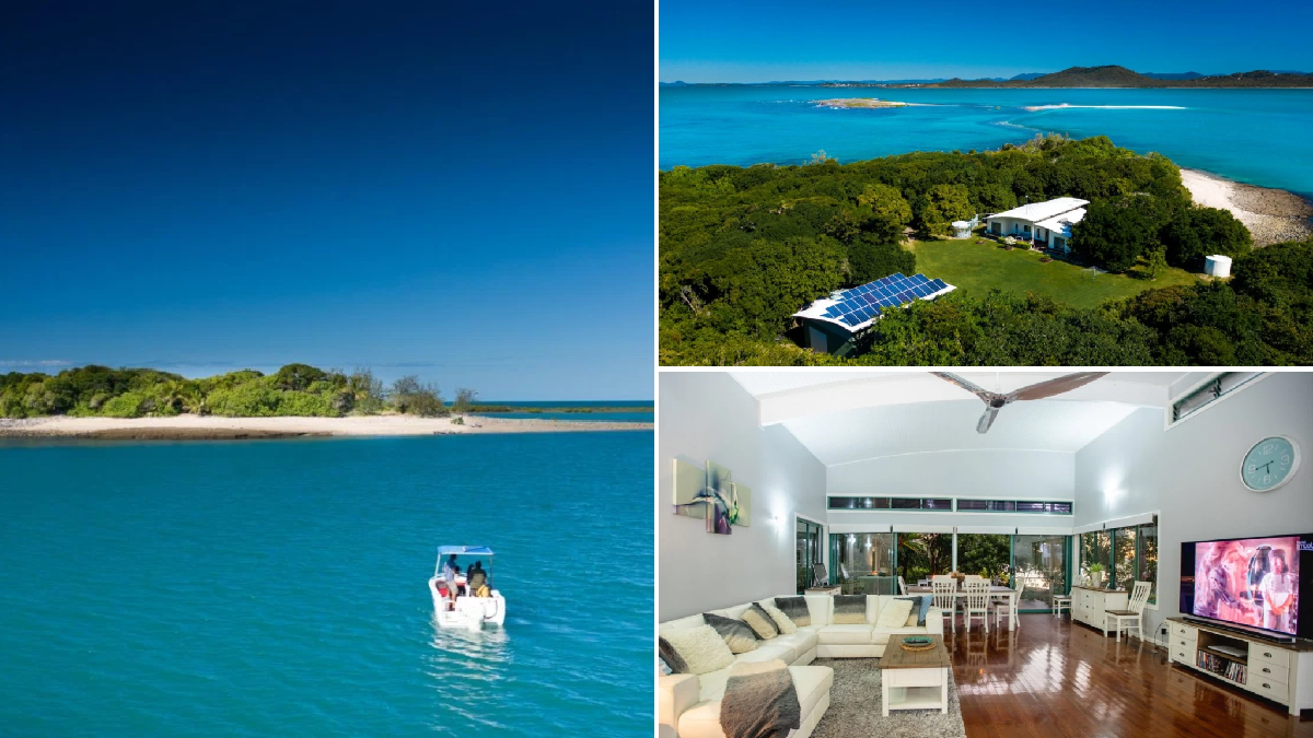 zone post image for post 13888063