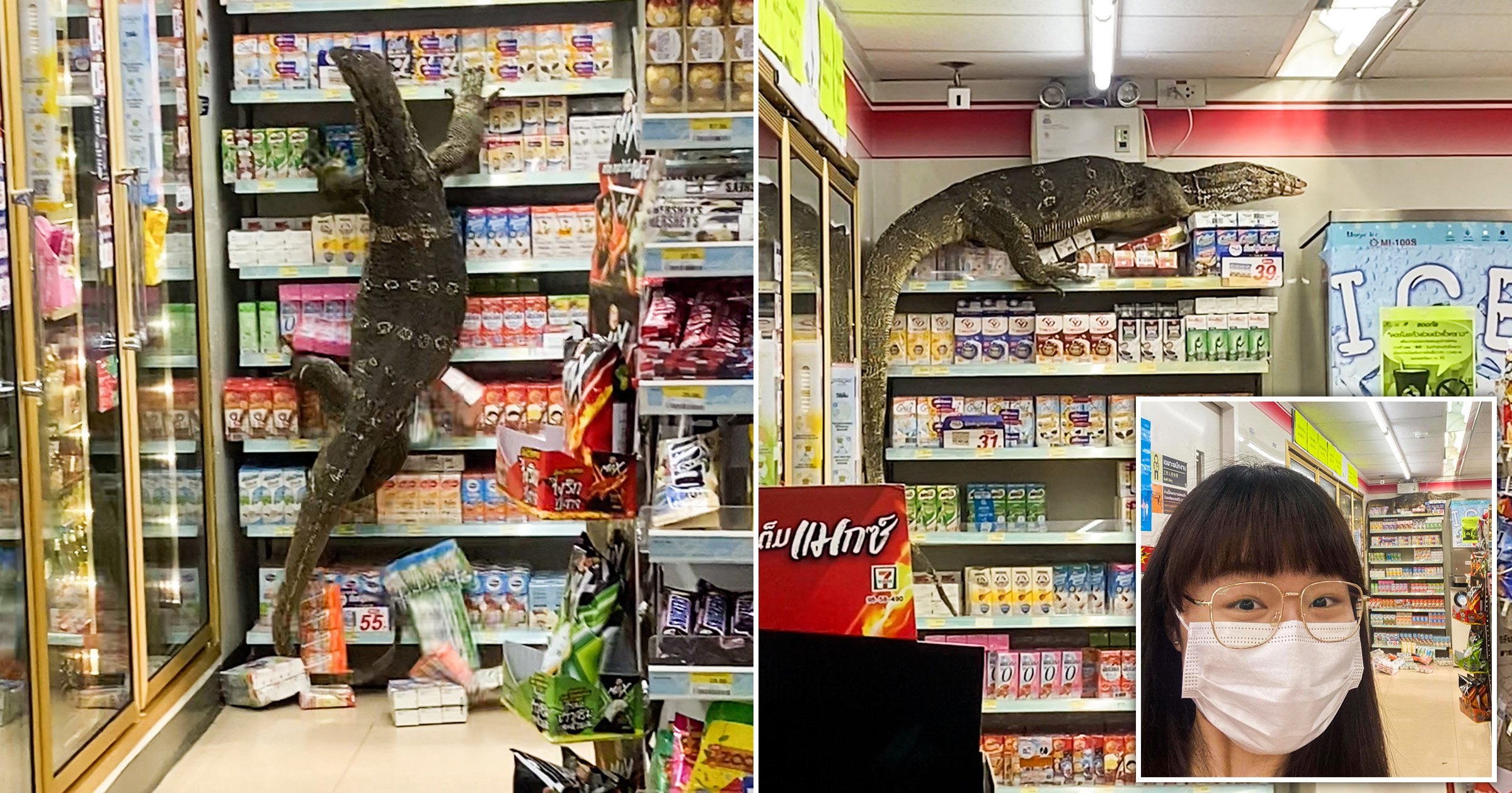 Giant Monitor Lizard Filmed On Rampage In Shop As Panicked Shoppers Scream | Metro News