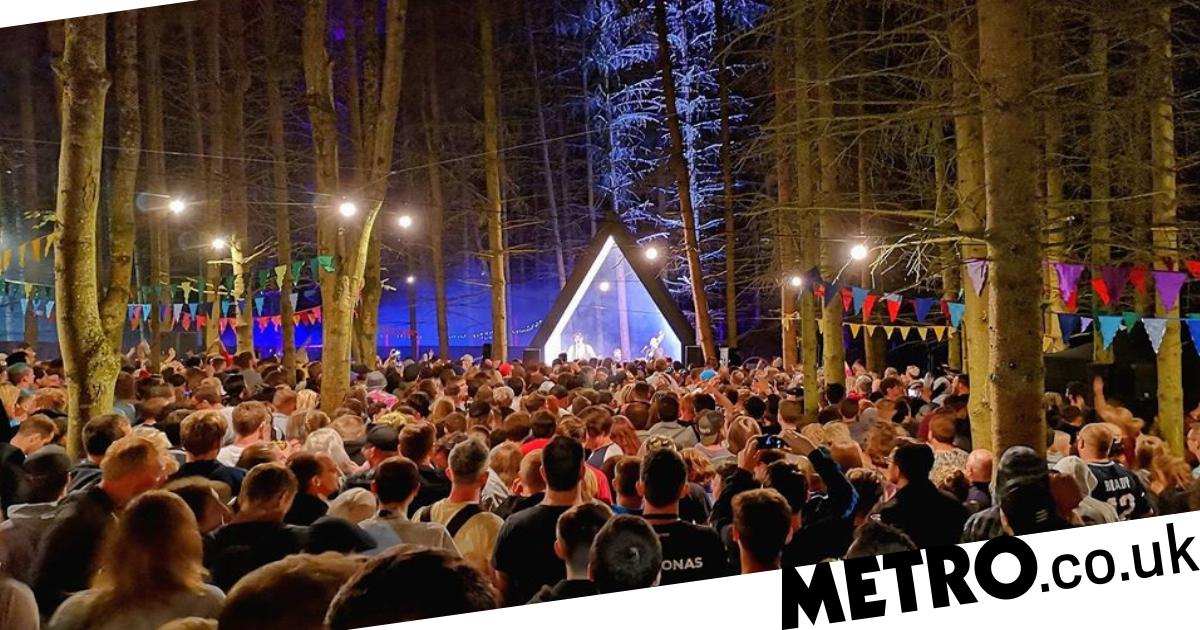 Festival Of Trees 2023 Dates 2000 Trees Festival Postponed Until 2022 As Team Hit Out At Government | Metro News