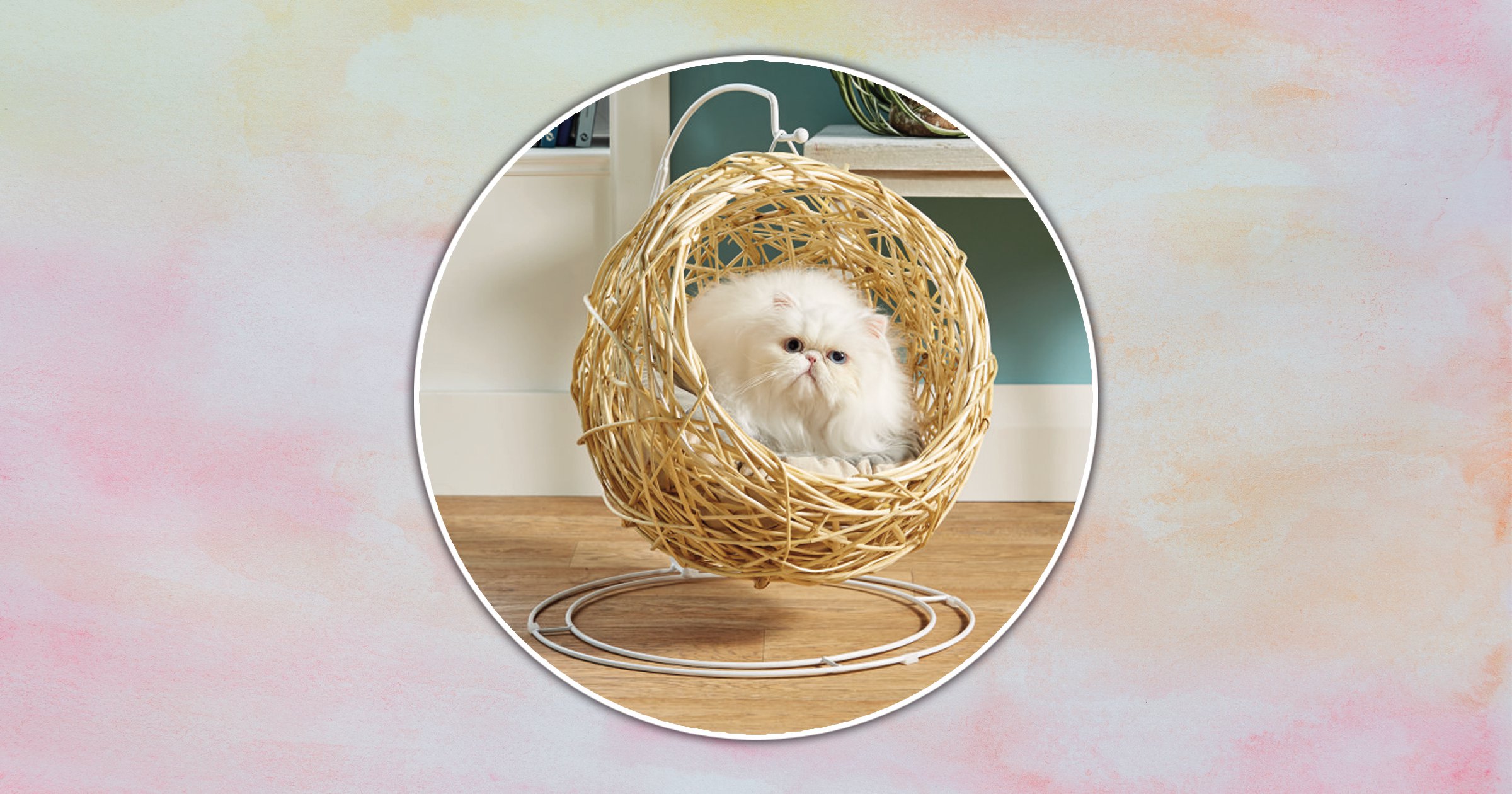 Aldi launches mini hanging egg chair just for cats Metro News