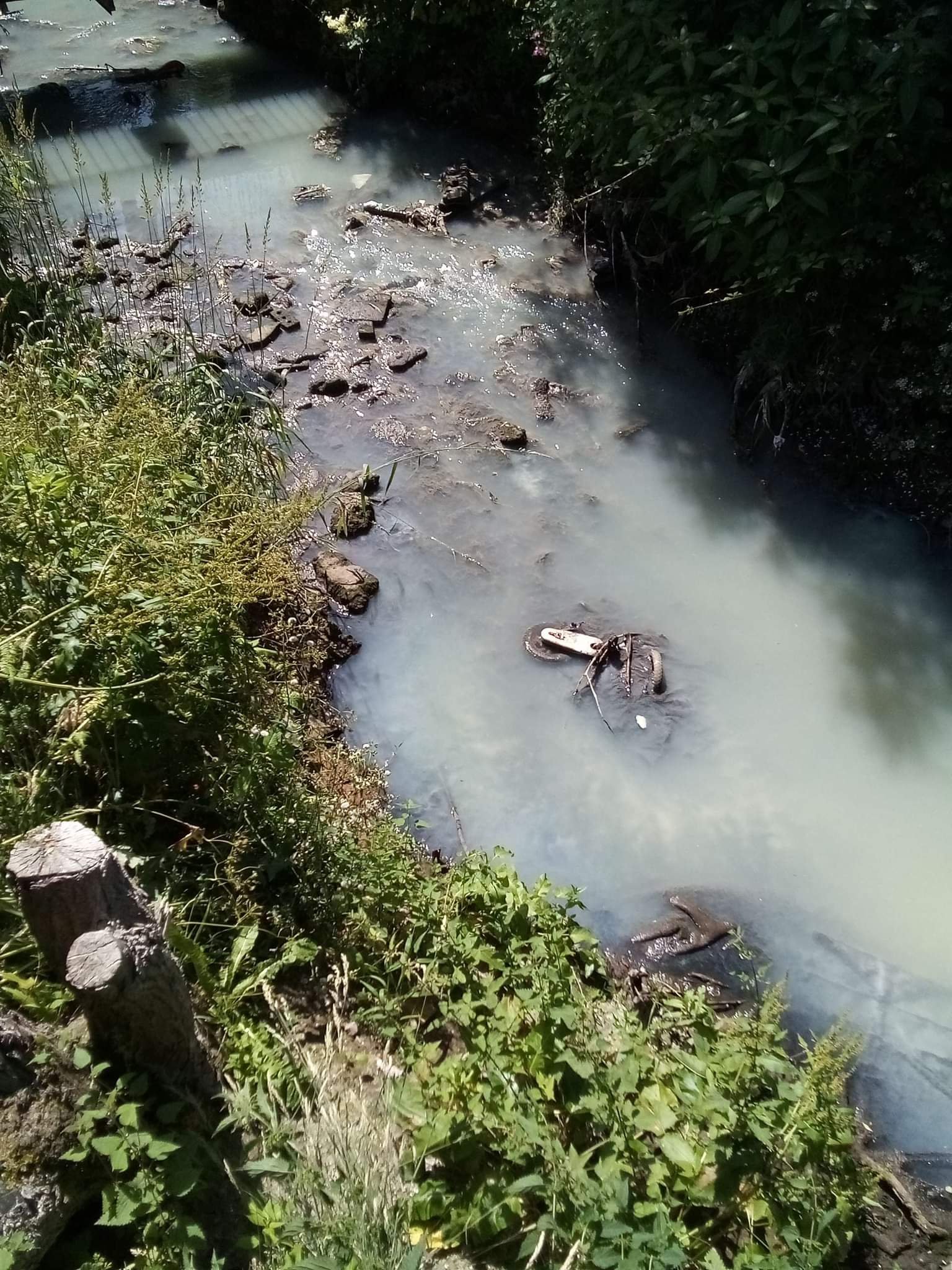 Scotland Dead fish wash up and river turns black due to pollution