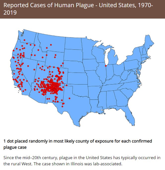 Girl, 10, dies of plague in Colorado as cases found in six counties