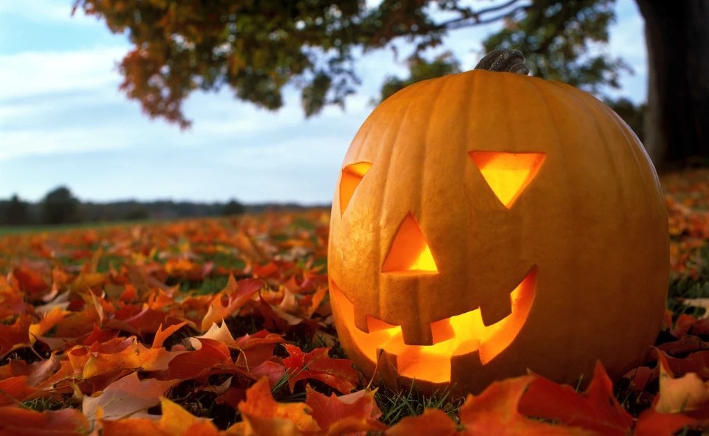 Best pumpkin patches near London to celebrate Halloween Metro News