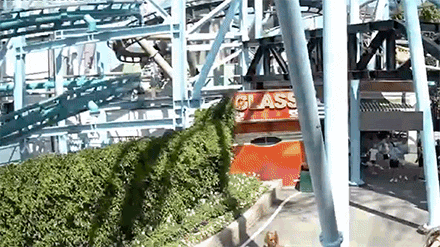 Woman Falls from Rollercoaster at Theme Park