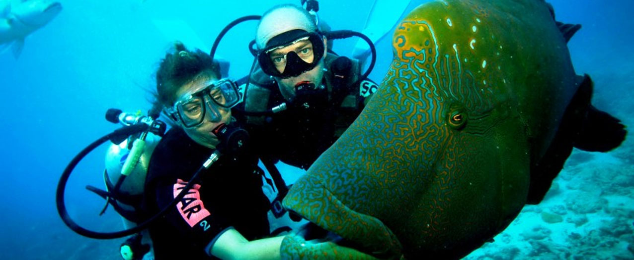 Ingin Scuba Diving, Ini yang Perlu Anda Ketahui Sebelum Mencobanya