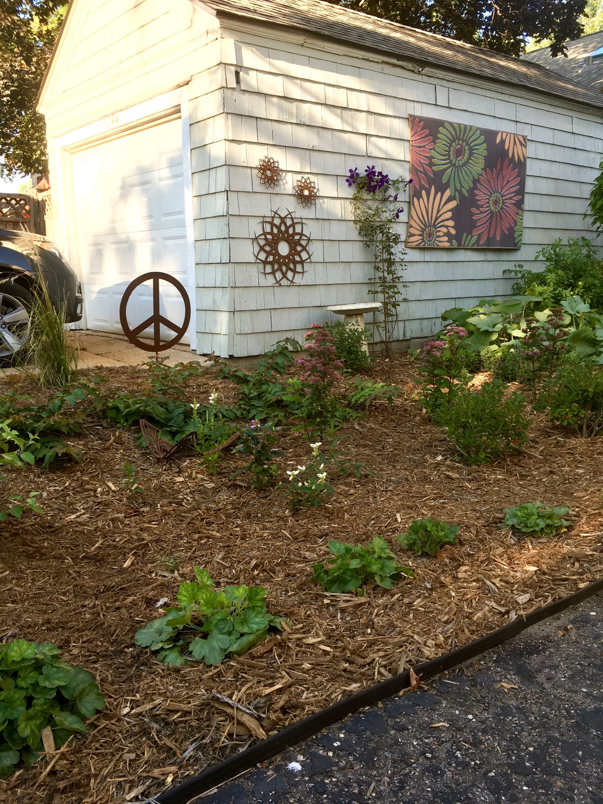 Lynnhurst Garden Tour Raingardens, a Native Planting, a Bee Lawn