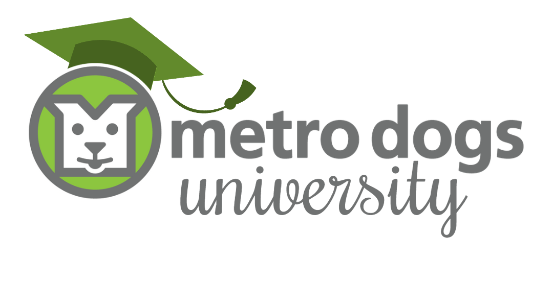 Are Dogs Allowed On Metro North