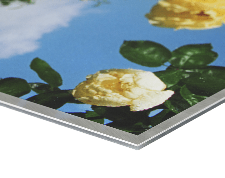 Reverse Perspex Mounting Professional Photo Printing Online Photo Printing C type, Giclee