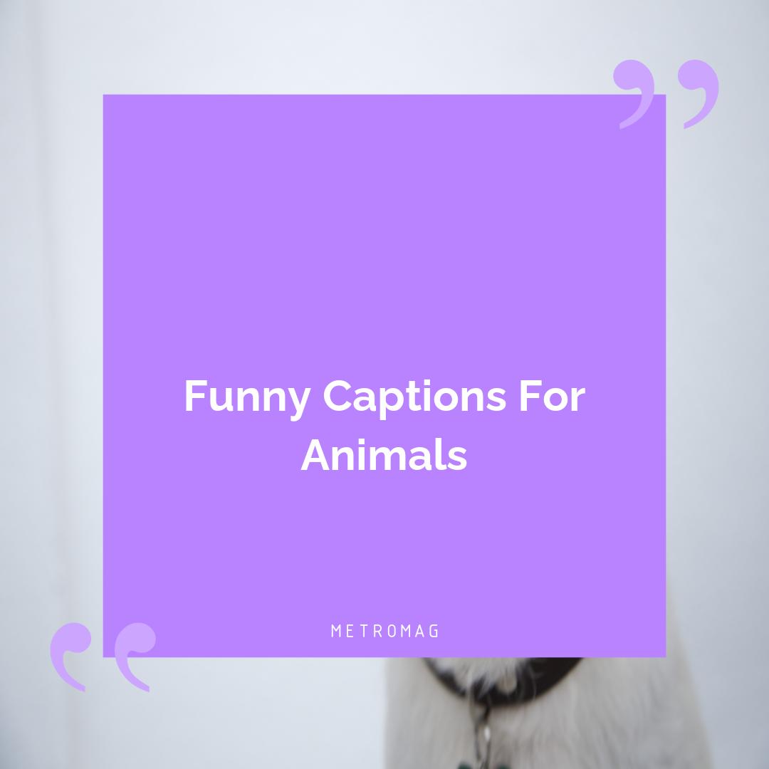 [UPDATED] Family Captions 360+ Funny Captions And Quotes For