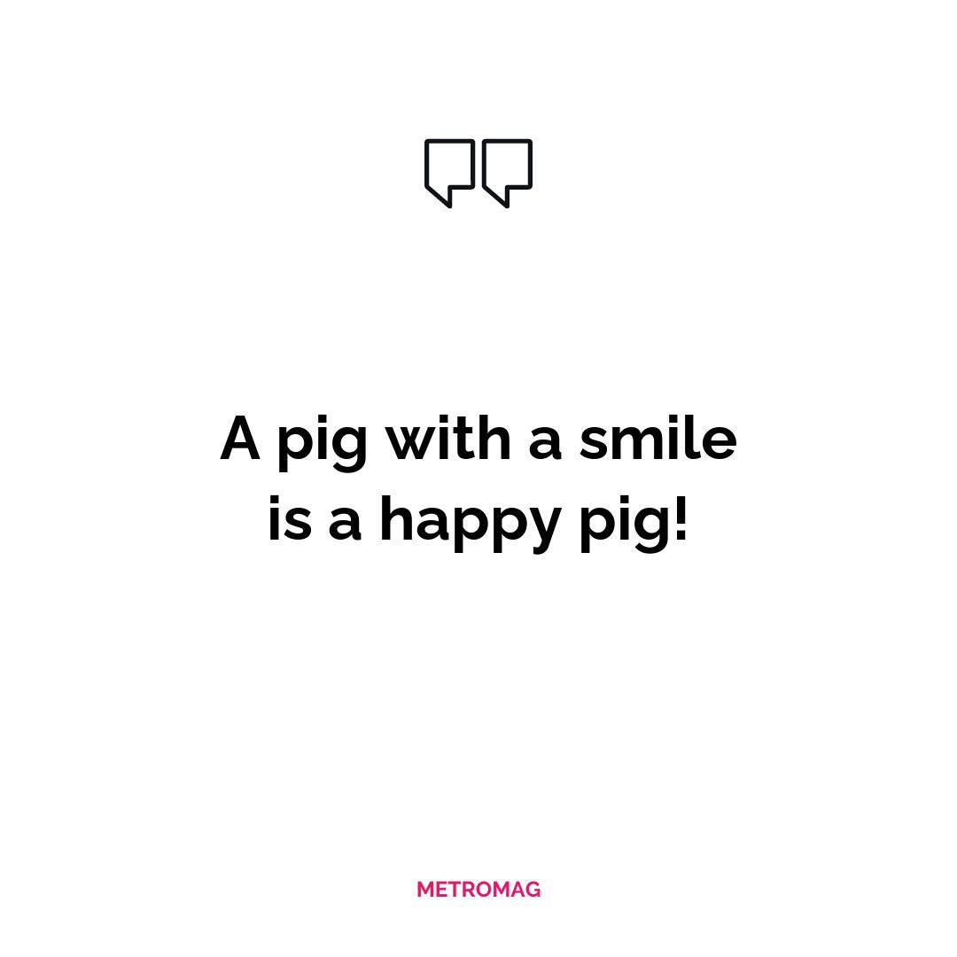Pig Captions and Quotes for Instagram Metromag