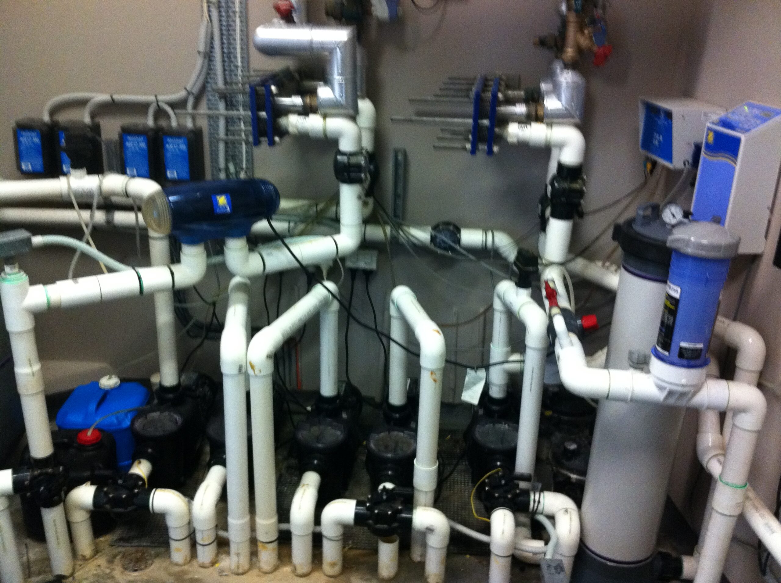 Pool Heating Sydney Pool Repairs Sydney