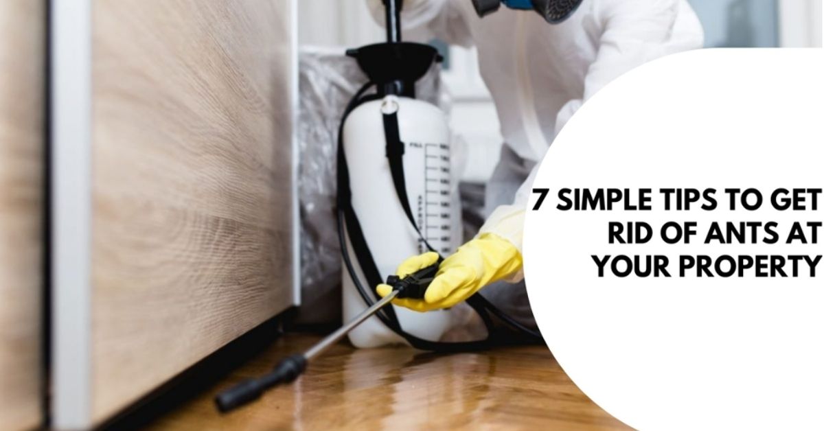 pest control MetroXP Your Xpert Mentor