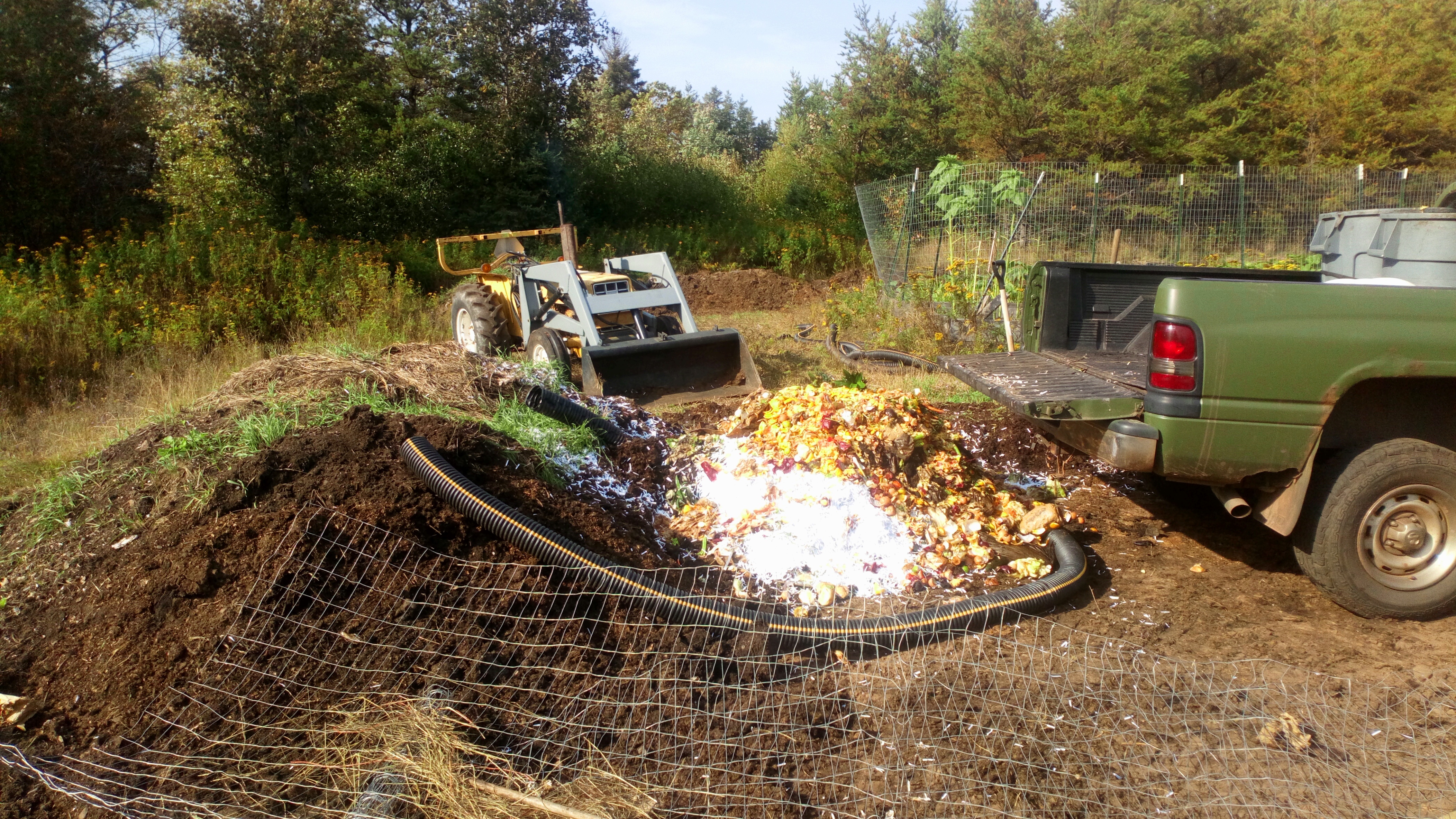 Food Dump Metsami Creations