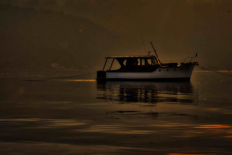 Guided EcoAdventures Sunset Boat Cruise (Egmont) Sunshine Coast BC