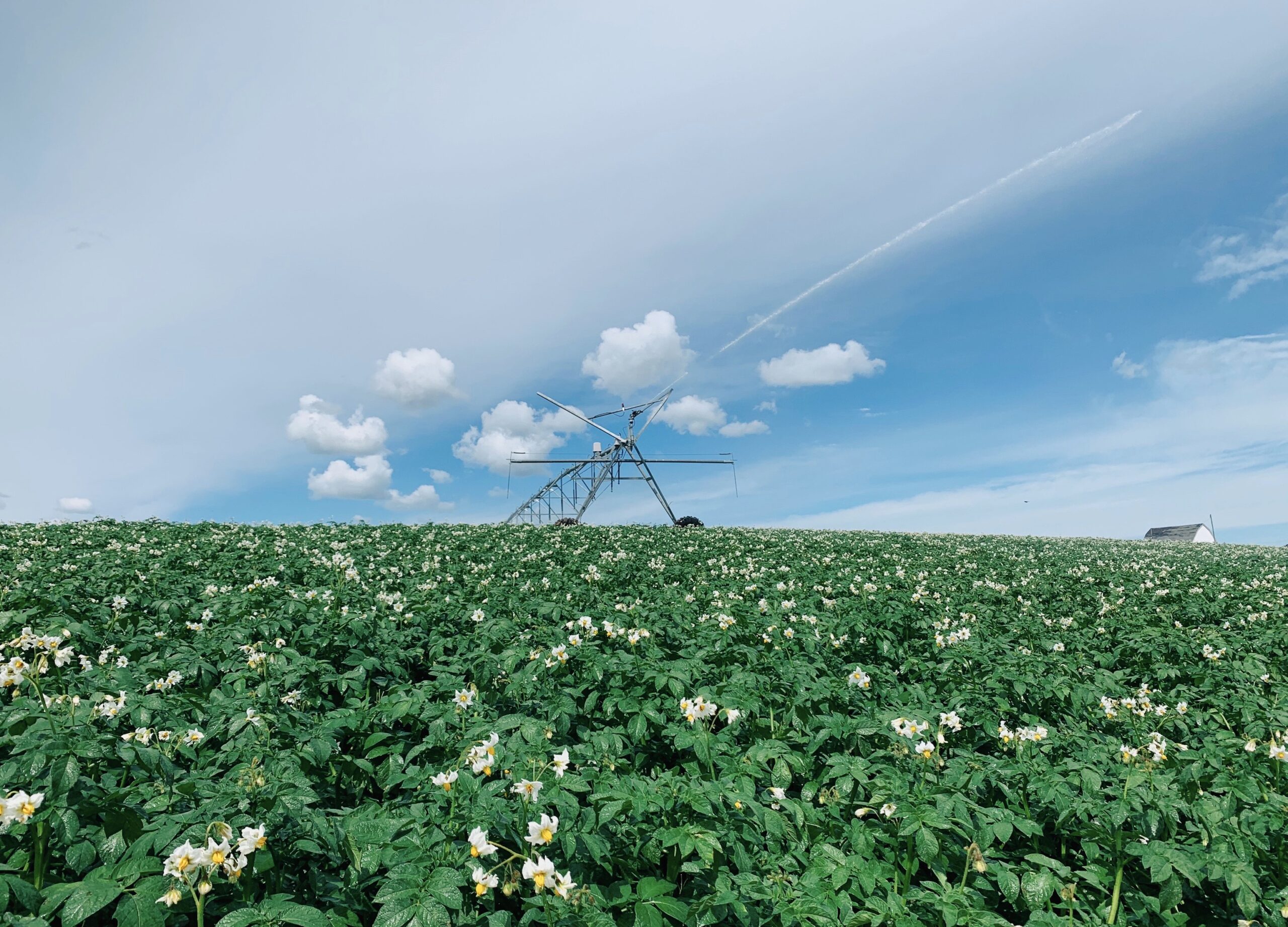 Double G Farms Farming for Tomorrow