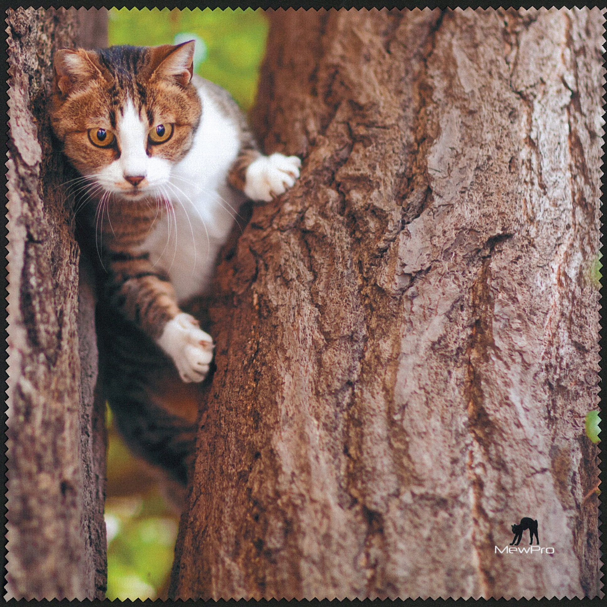 Cat Climbing Orangkucing Lab