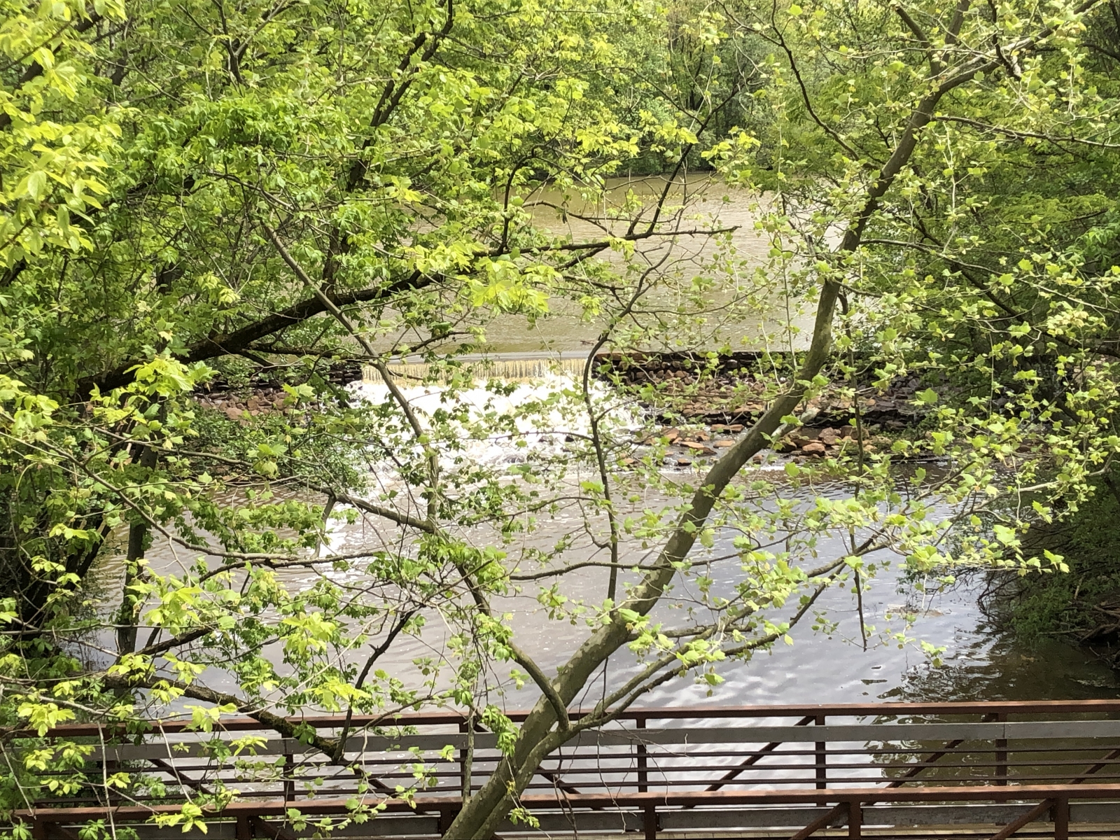 The Mews at Haddonfield » Gallery