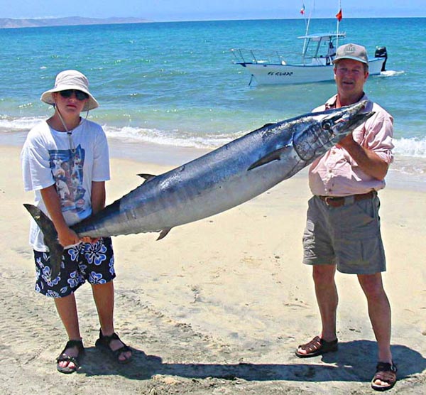 Wahoo fish pictures and species identification