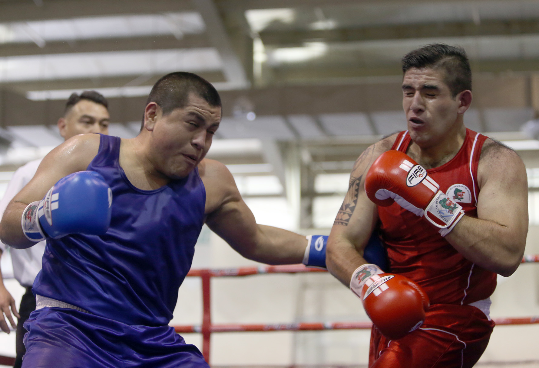 LLEVARÁ BC 43 PELEADORES A OLIMPIADA NACIONAL MexicaliSport