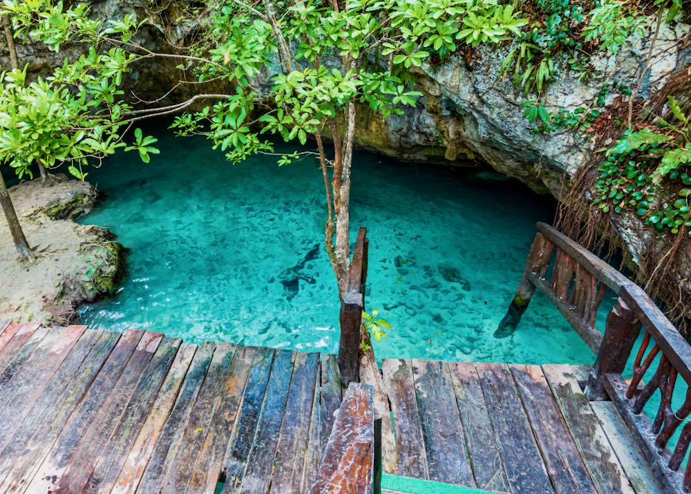 13 Best Cenotes near Tulum Where to Swim & Snorkel Mexico Dave