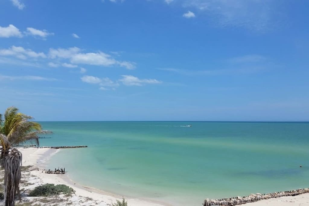 Playa Chuburna Mexico Living