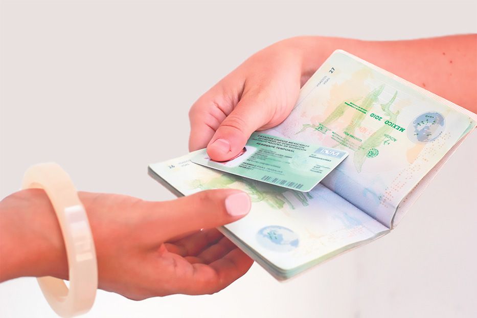 IMMIGRATION LAW IN MEXICO MEXLAW