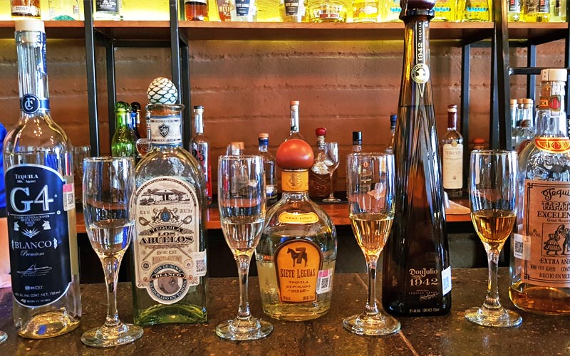 The Best Types Of Tequila You Should Drink MEXLocal