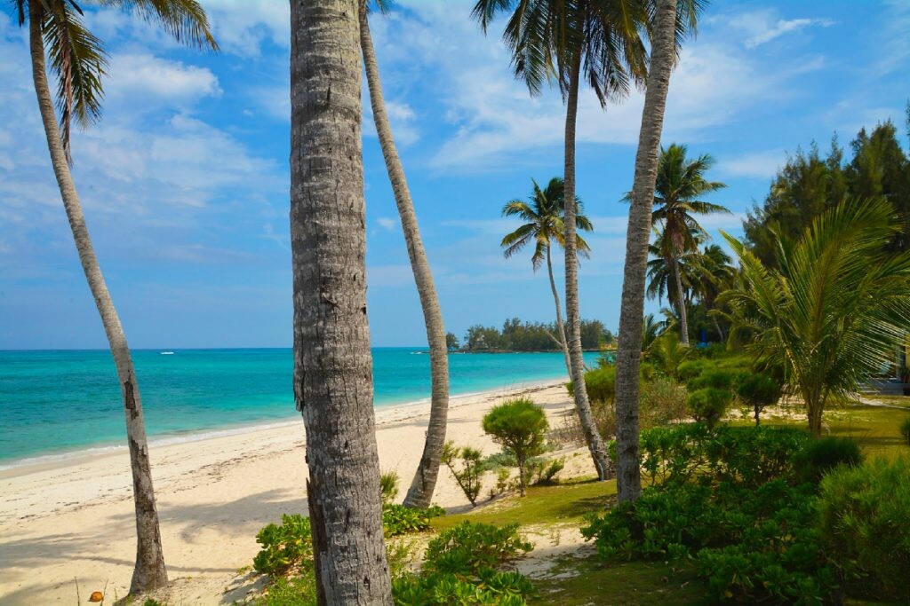 Xcalak Mexico Dive Snorkel Travel │Ultimate guide 2022