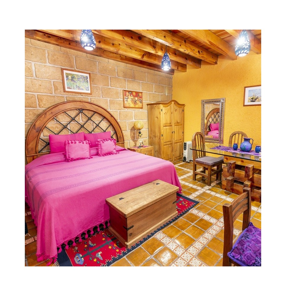 Casa Azul Bed and Breakfast Mexico City Suite Van Gogh
