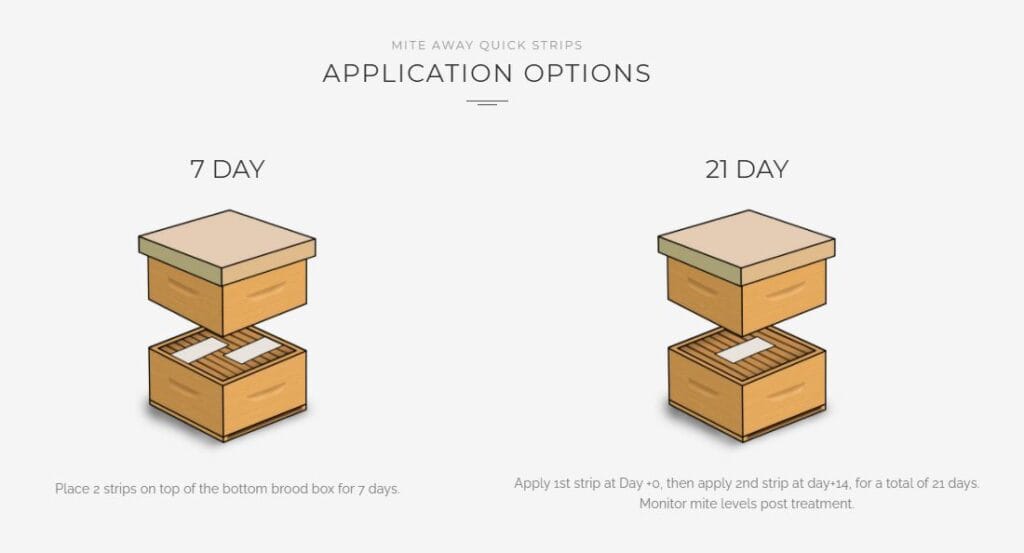 Mite Away Quick Strips / MAQS for controlling varroa mites