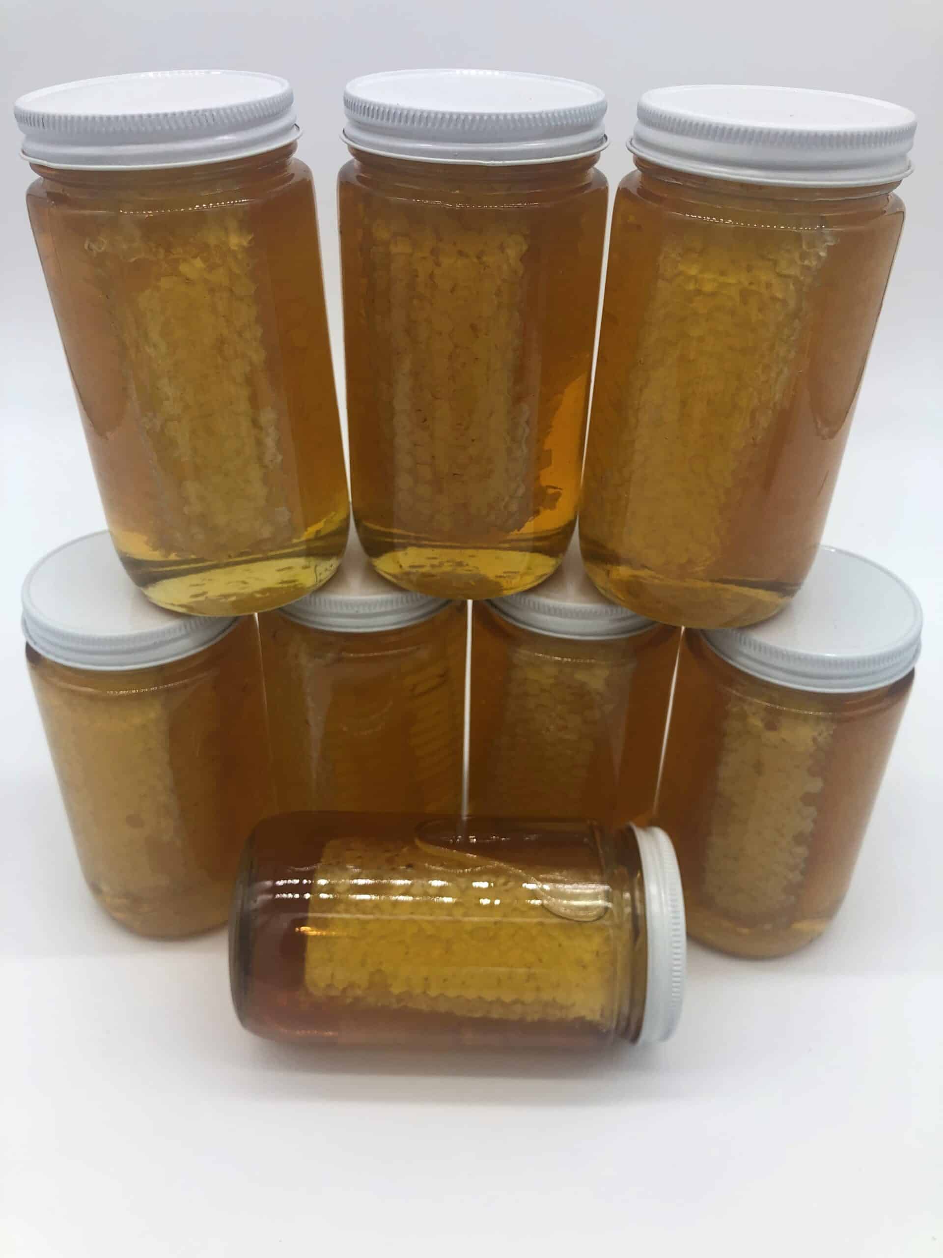 Raw Honey with Chunk